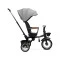 Велосипед 3-колісний Caretero (Toyz) saber grey, арт. TOYZ-0365